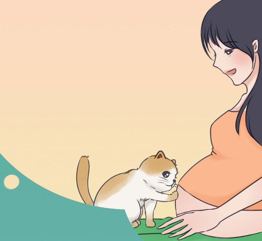 怀孕封面.jpg