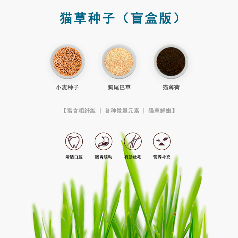 主图6.jpg