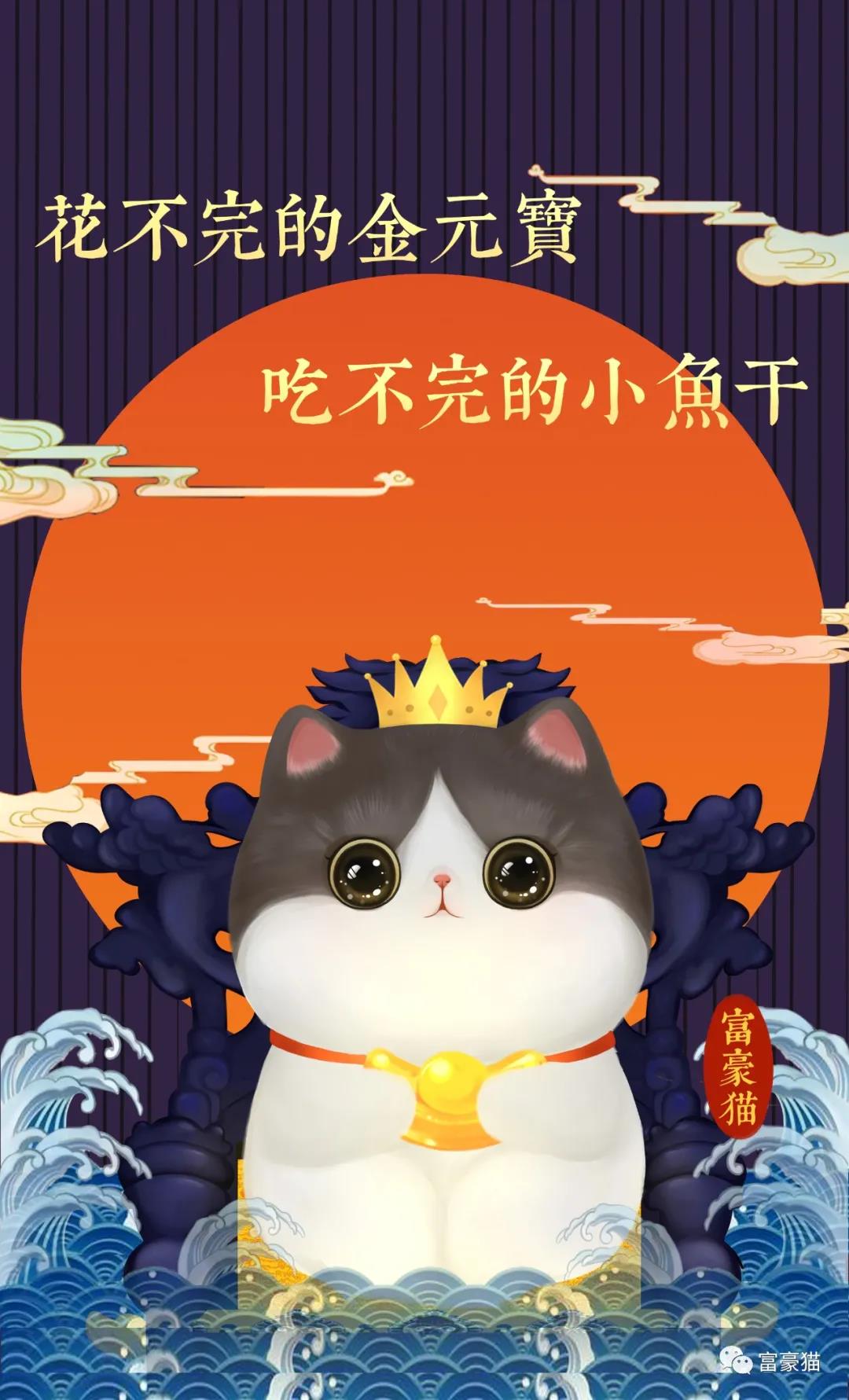 猫界土豪哥.jpg