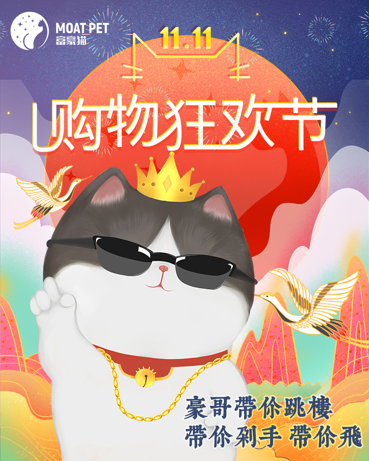 双十一750.jpg