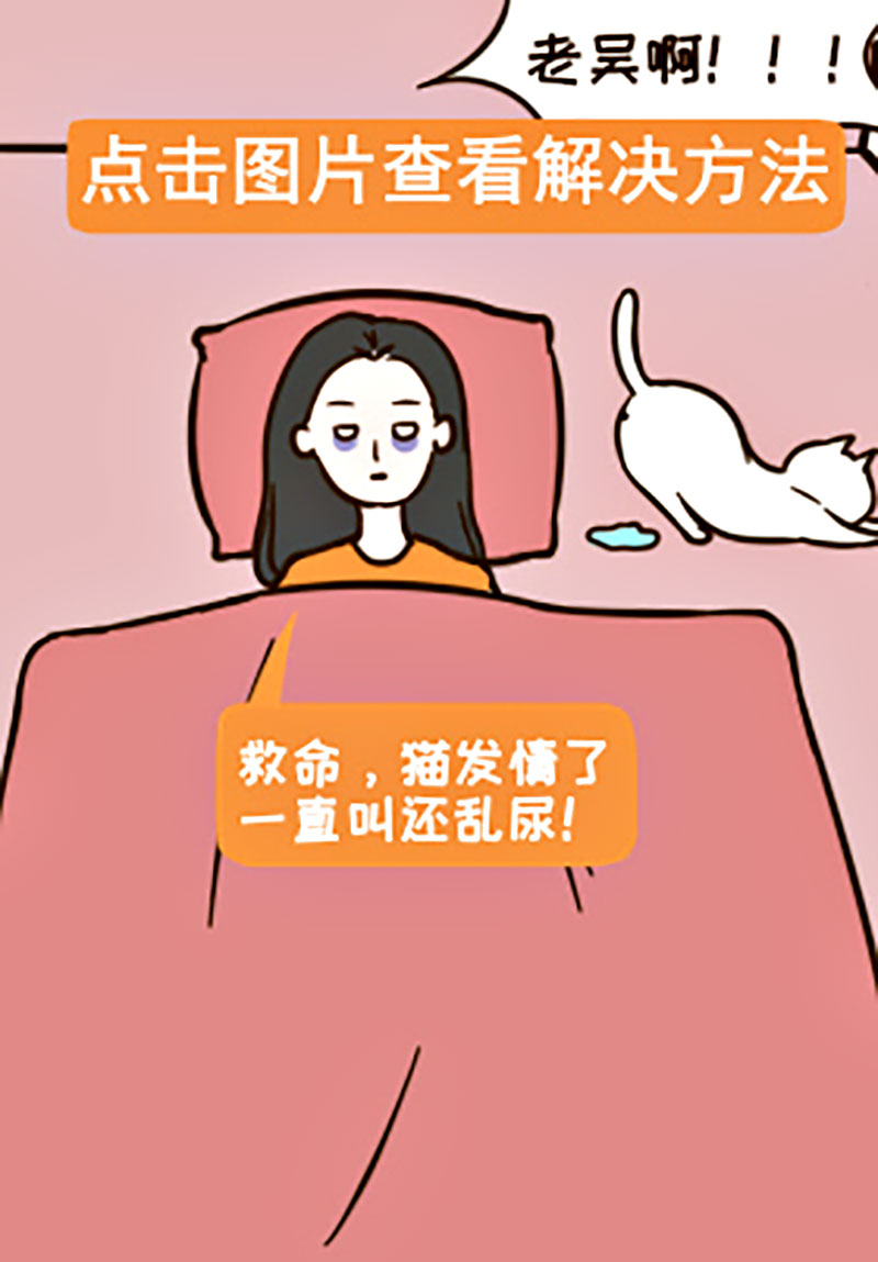 发情11.jpg