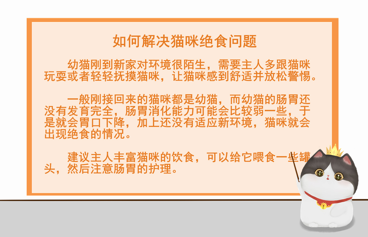 不吃3.jpg