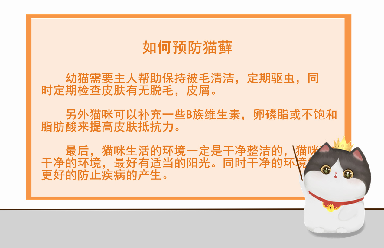 猫藓3.jpg
