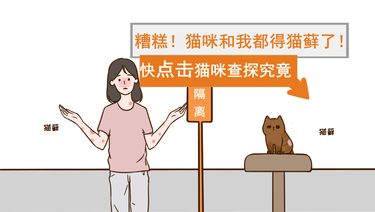 猫藓1.jpg