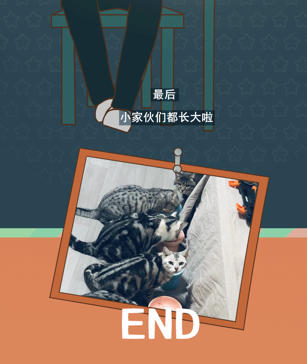 17.png