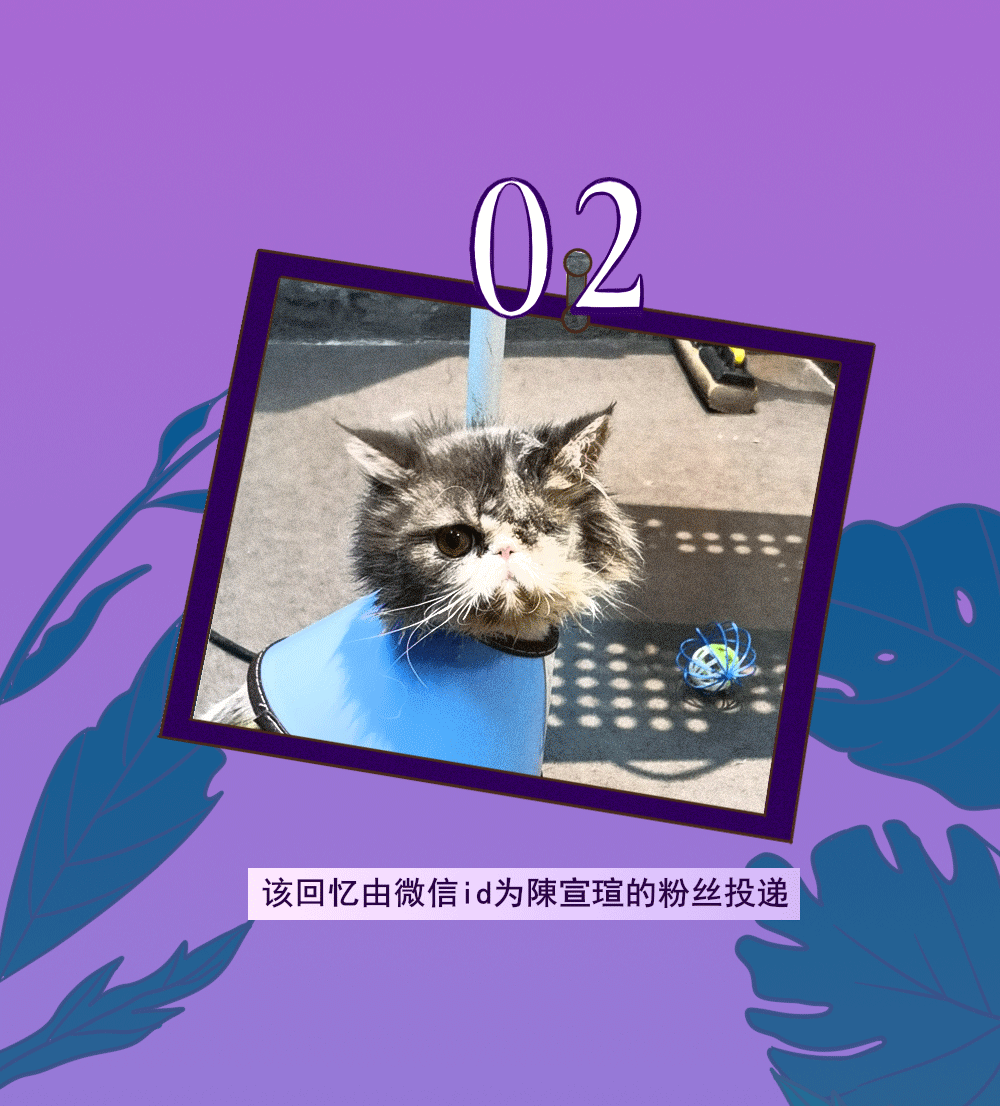 20.png